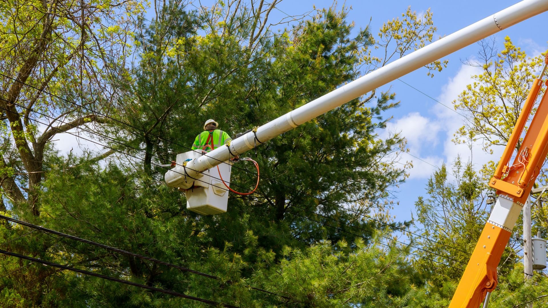 Utility worker in safety vest operating crane near trees and power lines
